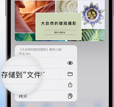 万州apple维修中心分享iPhone文件应用中存储和找到下载文件