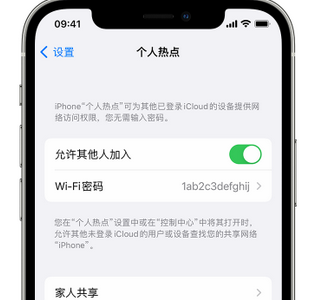 万州apple服务站点分享iPhone上个人热点丢失了怎么办 