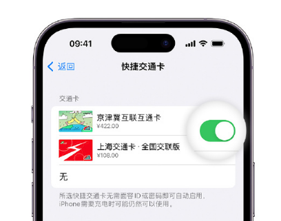 万州apple维修点分享iPhone上更换Apple Pay快捷交通卡手绘卡面 