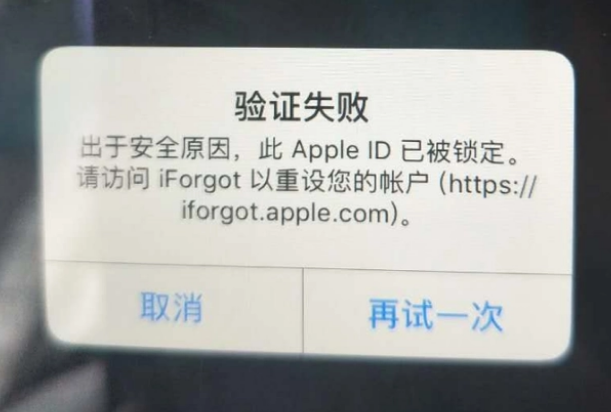 万州iPhone维修分享iPhone上正常登录或使用AppleID怎么办 