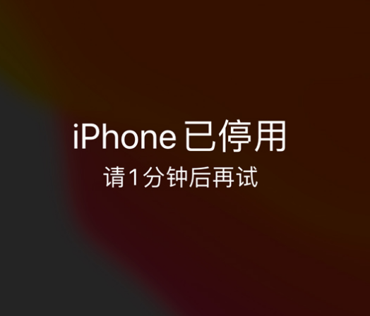 万州苹果手机维修分享:iPhone 显示“不可用”或“已停用”怎么办？还能保留数据吗？ 