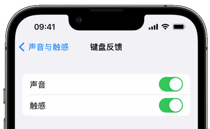 万州苹果手机维修分享iPhone 14触感键盘使用方法 