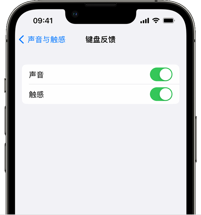 万州苹果14维修店分享如何在 iPhone 14 机型中使用触感键盘 