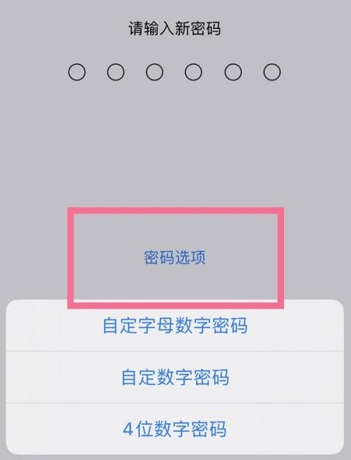 万州苹果14维修分享iPhone 14plus设置密码的方法 