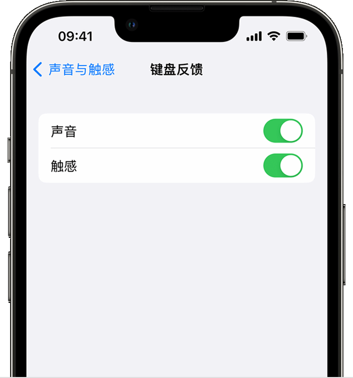 万州苹果14维修分享iPhone 14 系列机型如何开启键盘声音或触感反馈 