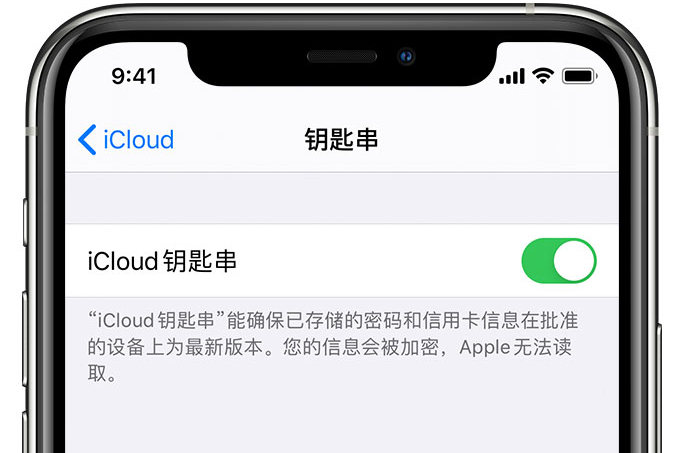 万州苹果手机维修分享在 iPhone 上开启 iCloud 钥匙串之后会储存哪些信息 