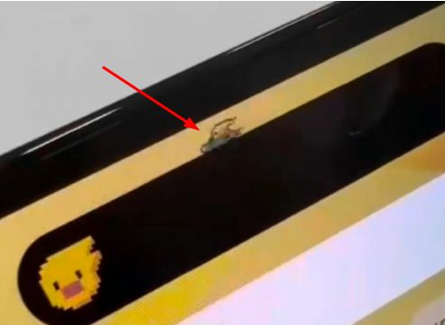万州苹果14维修分享iPhone 14 Pro Max灵动岛怎么养宠物 