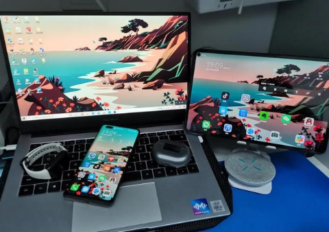 万州苹果手机维修分享为什么iPad屏幕更大价格却比iPhone低 