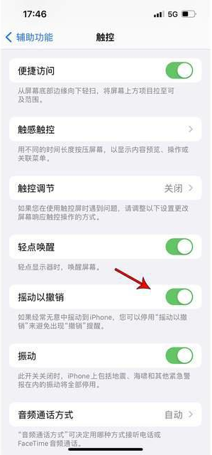 万州苹果手机维修分享iPhone手机如何设置摇一摇删除文字 