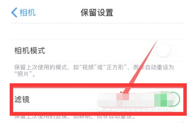 万州苹果13维修分享iPhone13拍照有绿点是怎么回事 