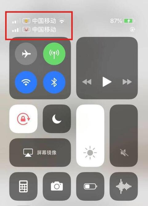 万州苹果手机维修分享为 iPhone 12 双卡设置标签 