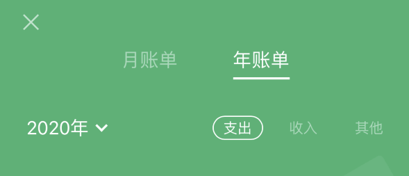 万州苹果手机维修分享如何在 iPhone 上查看支付宝和微信年支出账单 